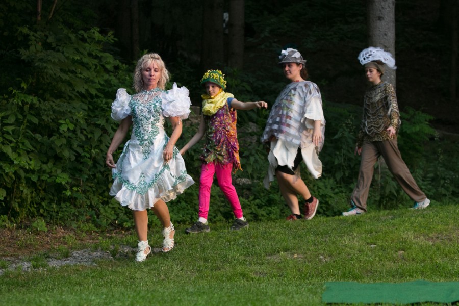 2015_Sommernachtsraum (8).jpg